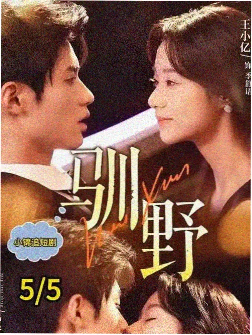 包子漫画网官网页藏品卡第七码头封面